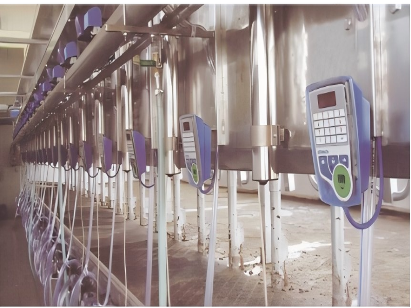 Electric Measuring ParallelOuick Release Milking Parlor