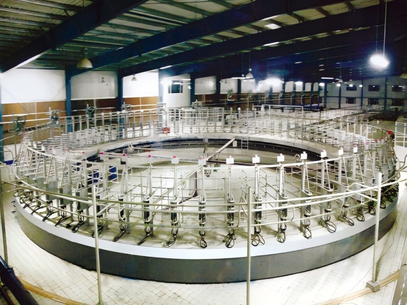 Rotary Milking Parlor
