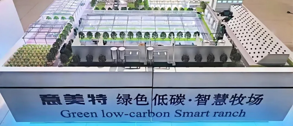 ‌IMETEC's Smart "Four-Piece Suite" Shines at China Dairy Expo 2025